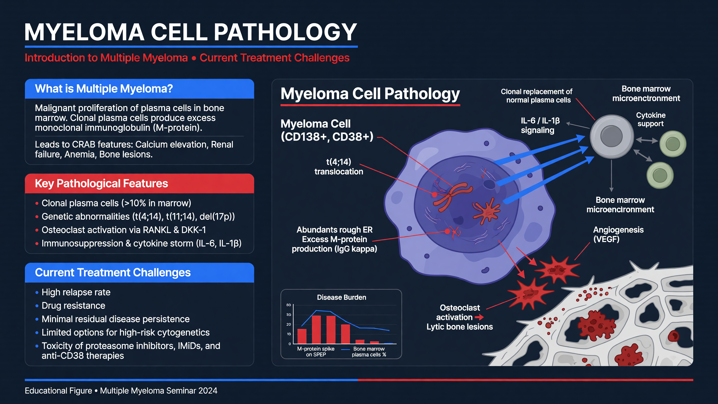 Schematic diagram of myeloma cell pathology