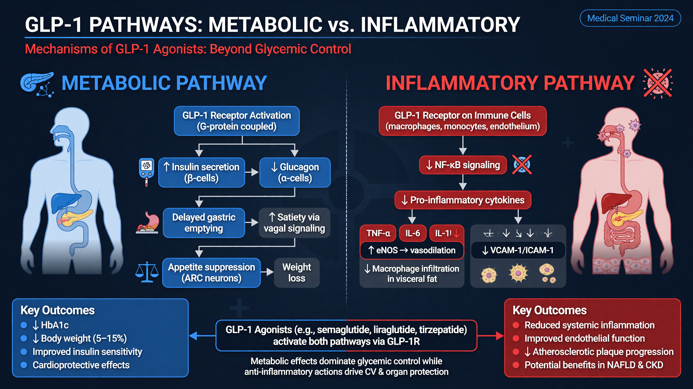 GLP-1 pathways: metabolic vs. inflammatory