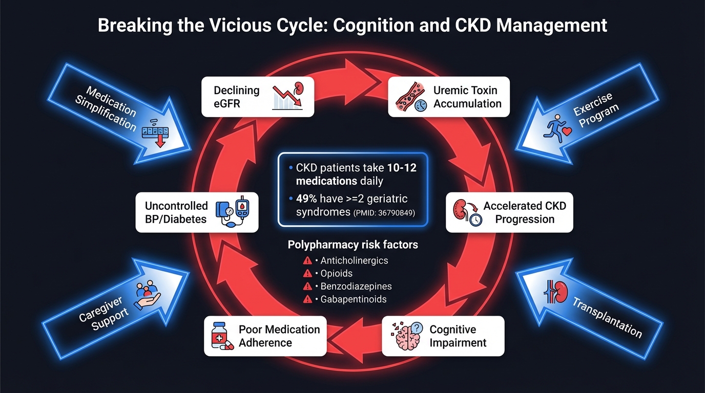 Patient management pathways considering cognitive decline