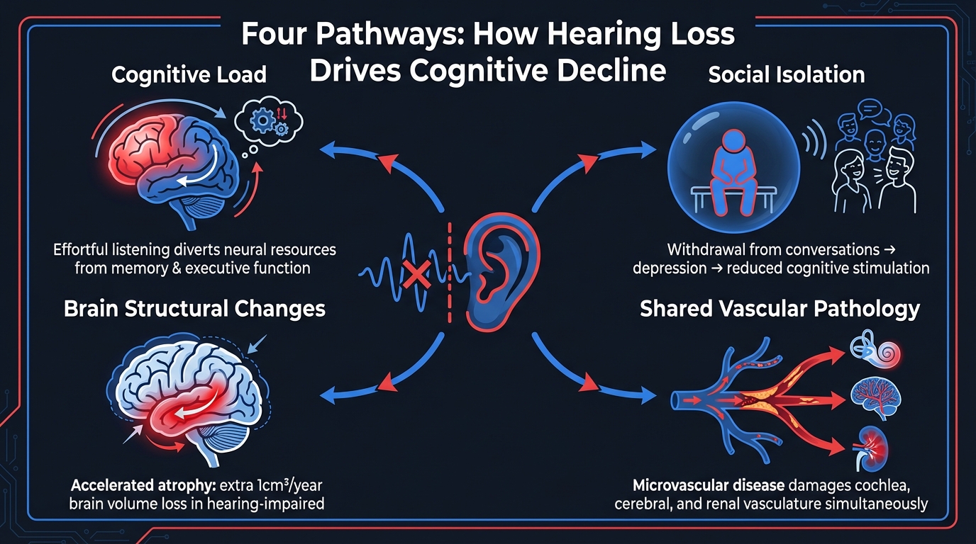 Four Mechanistic Pathways from Hearing Loss to Cognitive Decline