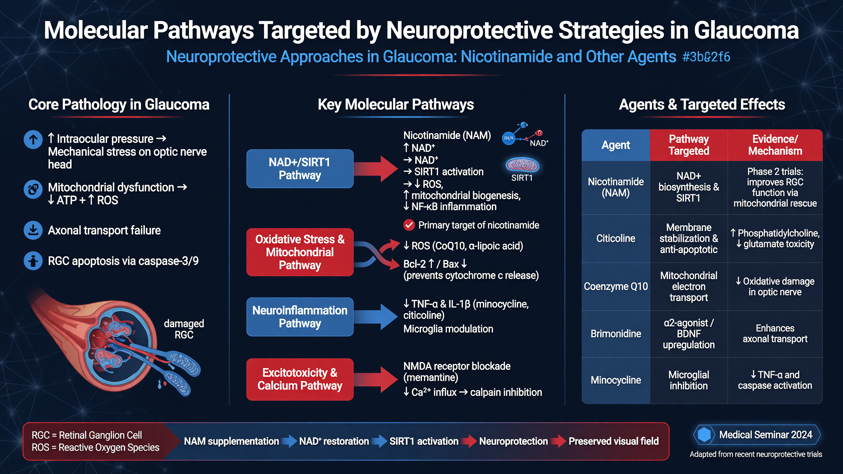 Molecular pathways targeted by neuroprotective strategies in glaucoma.