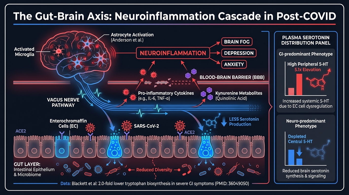 Neuroinflammation Cascade and Gut-Brain Axis in Post-COVID