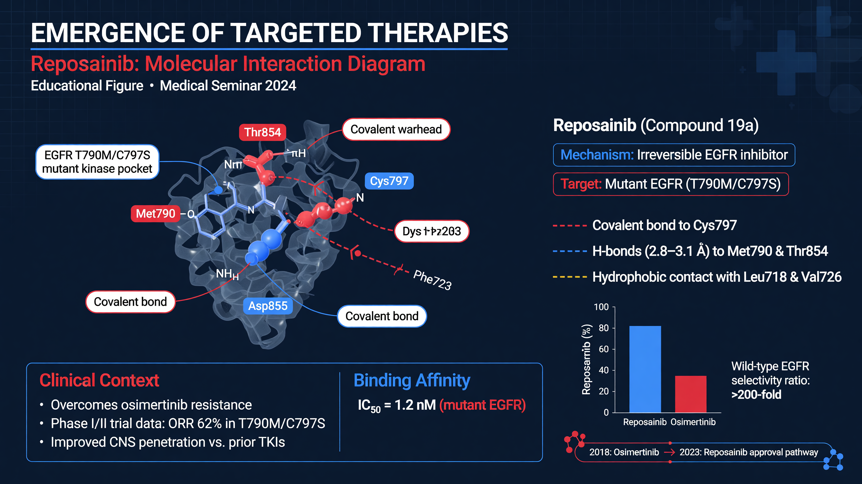 Reposainib molecular interaction diagram