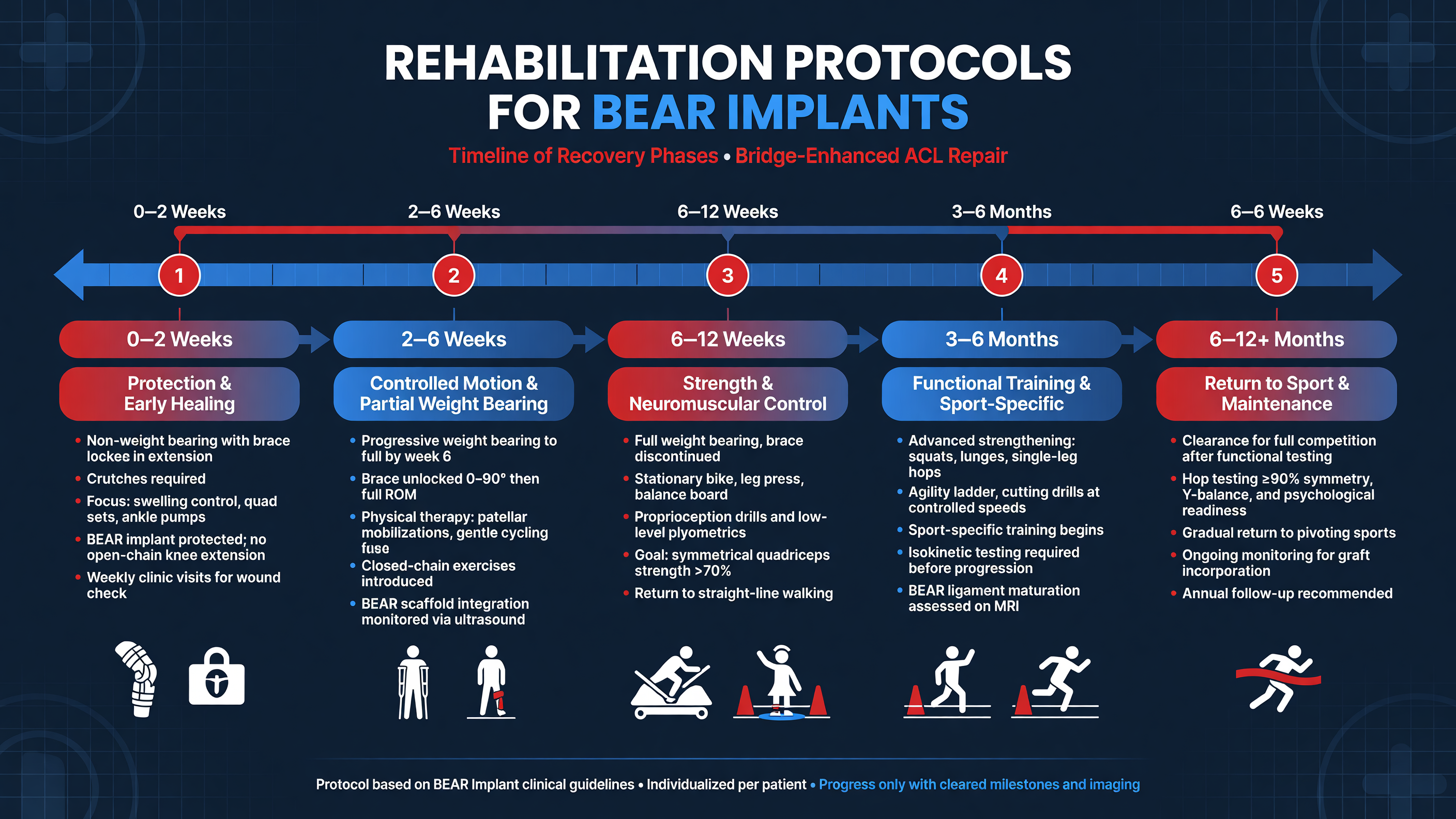Timeline of rehabilitation phases specific to BEAR implants