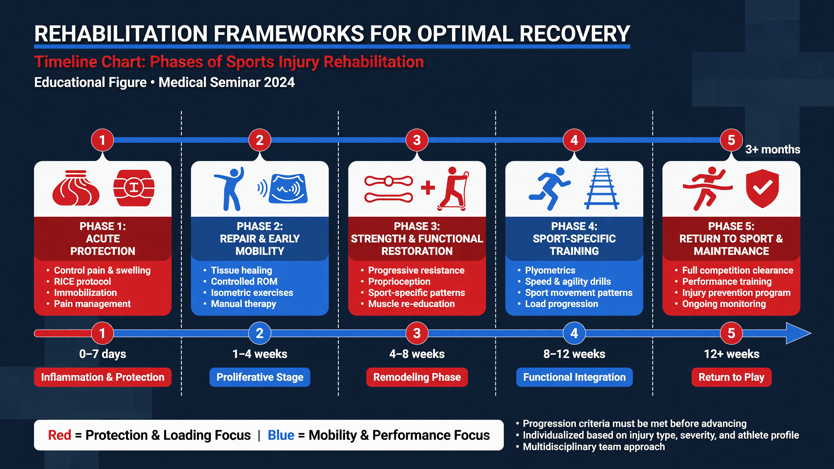 Timeline chart for rehabilitation phases of sports injuries